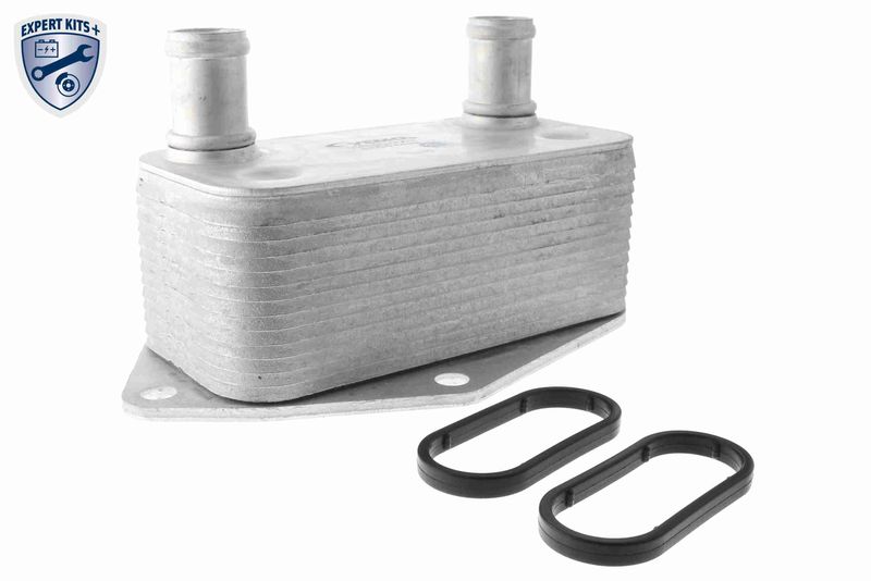 VEMO V20-60-0062 Oil Cooler, engine oil