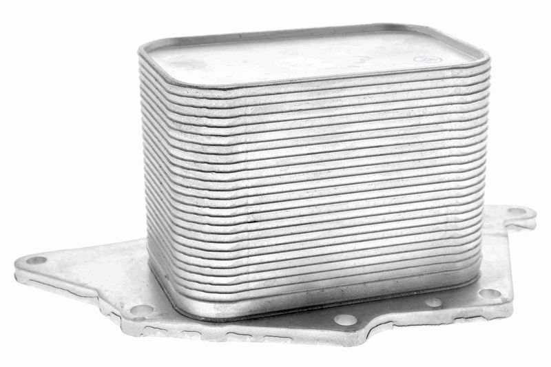 VEMO V20-60-1554 Oil Cooler, engine oil