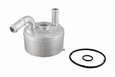 Oil Cooler, automatic transmission VEMO V20-60-1560