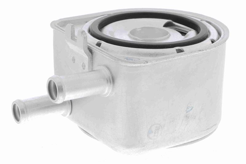 VEMO V22-60-0001 Oil Cooler, engine oil