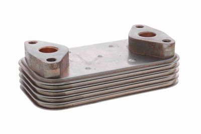 Oil Cooler, engine oil VEMO V22-60-0043