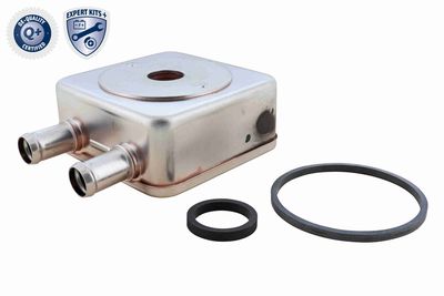 Oil Cooler, automatic transmission VEMO V22-60-0050