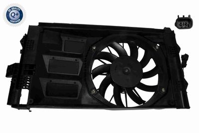 Fan, engine cooling VEMO V24-01-1281