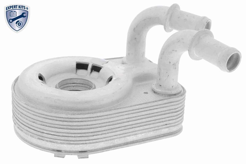 VEMO V24-60-0013 Oil Cooler, engine oil