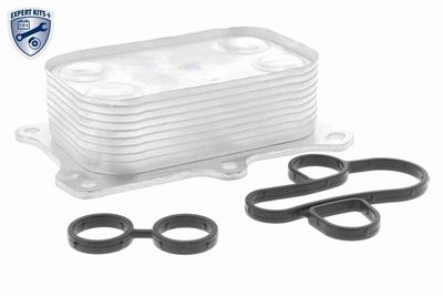 Oil Cooler, engine oil VEMO V24-60-0014