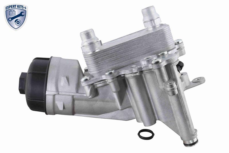 VEMO V24-60-0019 Oil Cooler, engine oil