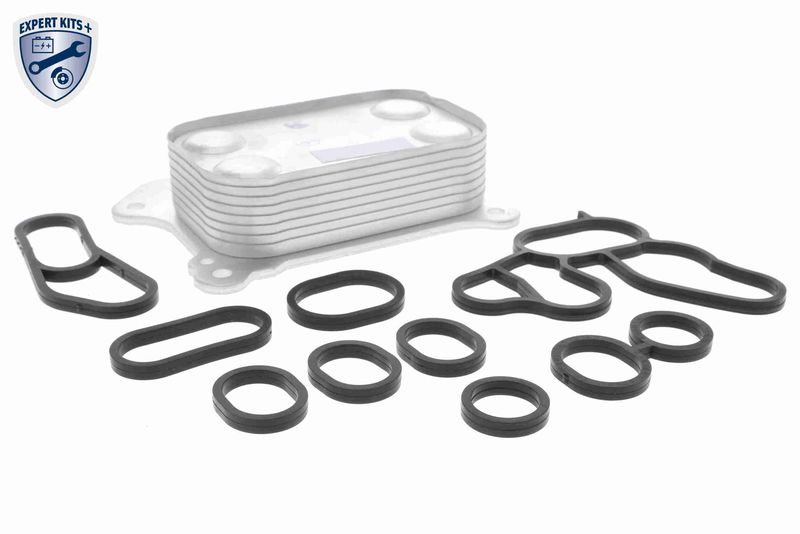 VEMO V24-60-0020 Oil Cooler, engine oil