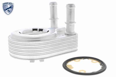 Oil Cooler, engine oil VEMO V24-60-0021