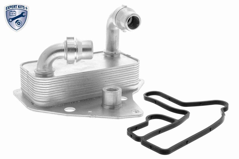 VEMO V24-60-0051 Oil Cooler, engine oil