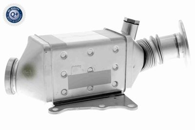 Cooler, exhaust gas recirculation VEMO V24-63-0025