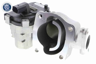 Throttle Body VEMO V24-81-0010