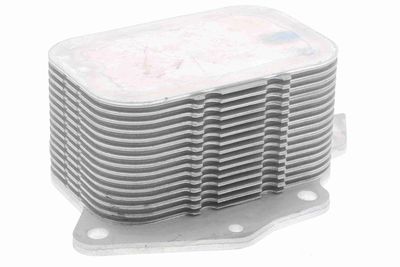 Oil Cooler, engine oil VEMO V25-60-0026