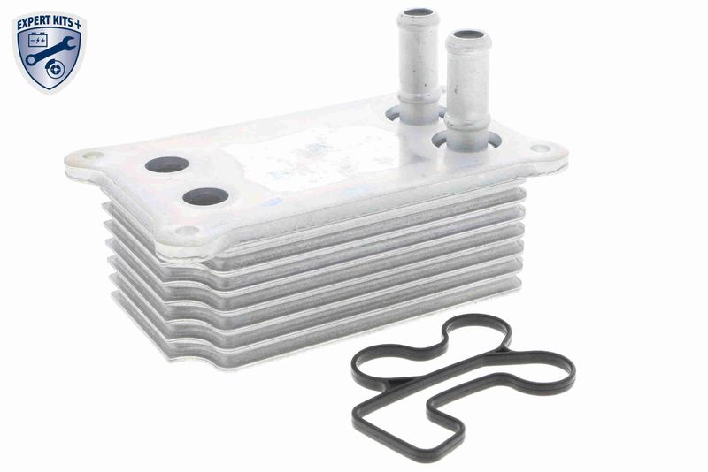 VEMO V25-60-0031 Oil Cooler, engine oil
