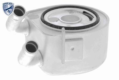 Oil Cooler, engine oil VEMO V25-60-0035