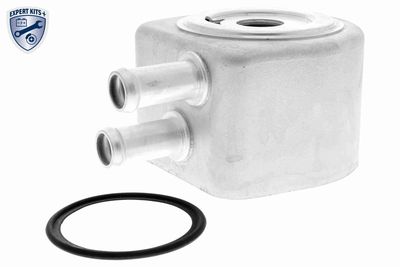 Oil Cooler, engine oil VEMO V25-60-0040