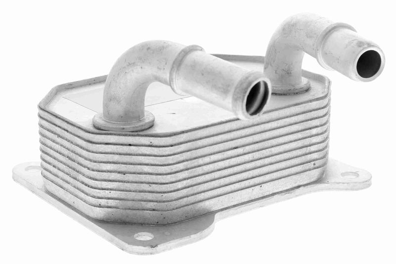 VEMO V25-60-0041 Oil Cooler, engine oil