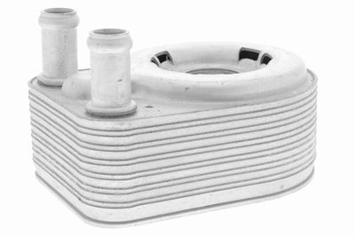 Oil Cooler, engine oil VEMO V25-60-0043