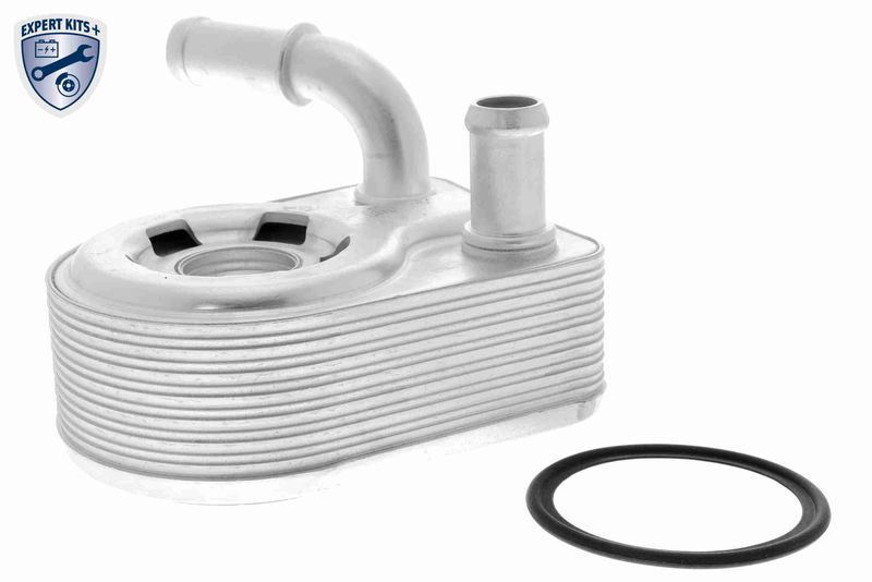 VEMO V25-60-0046 Oil Cooler, engine oil