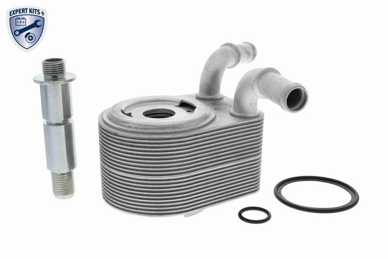 VEMO V25-60-0049 Oil Cooler, engine oil