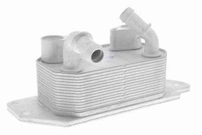 Oil Cooler, engine oil VEMO V25-60-3022