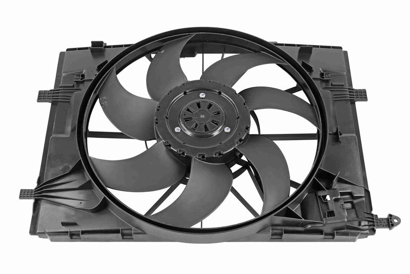 VEMO V30-01-1634 Fan, engine cooling