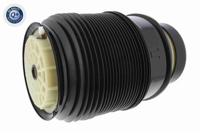 Air Suspension Strut VEMO V30-50-0001