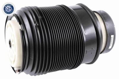 Air Suspension Strut VEMO V30-50-0005