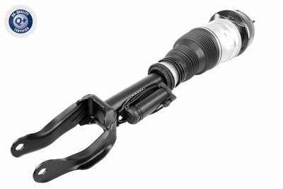 Air Suspension Strut VEMO V30-50-0016