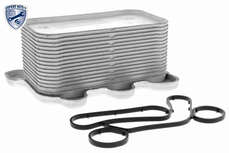 VEMO V30-60-0005 Oil Cooler, engine oil