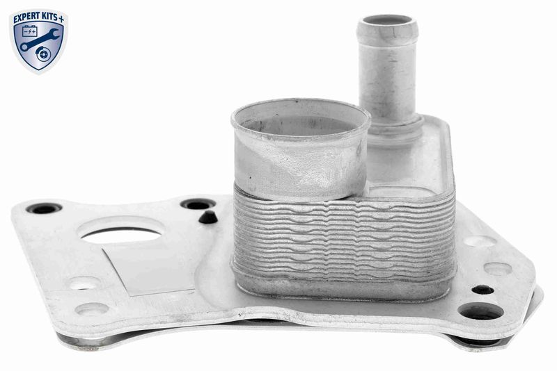 VEMO V30-60-0008 Oil Cooler, engine oil