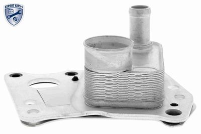 Oil Cooler, engine oil VEMO V30-60-0008
