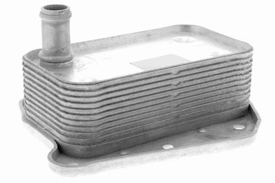 Oil Cooler, engine oil VEMO V30-60-1323