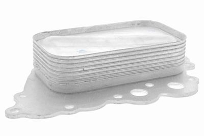 Oil Cooler, engine oil VEMO V30-60-1338