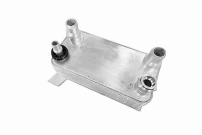 Oil Cooler, engine oil VEMO V30-60-1355
