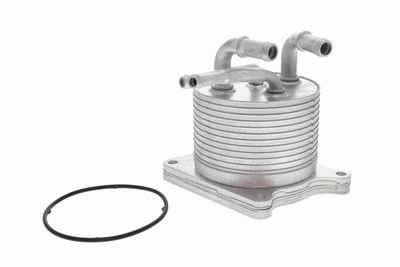 Oil Cooler, automatic transmission VEMO V33-60-0012