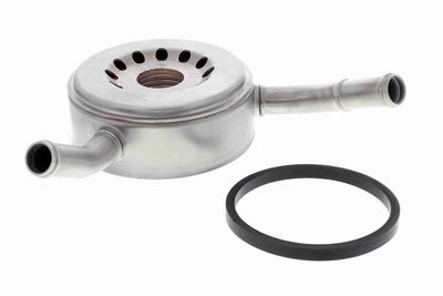 Oil Cooler, engine oil VEMO V38-60-0011