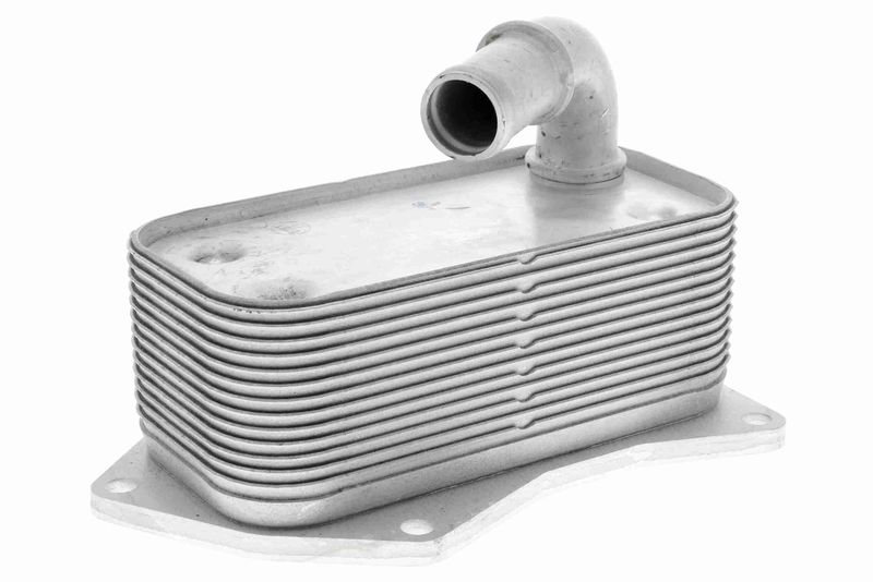 VEMO V40-60-2099 Oil Cooler, engine oil