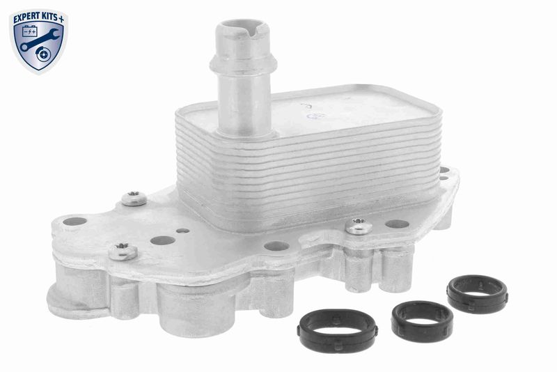 VEMO V40-60-2102 Oil Cooler, engine oil