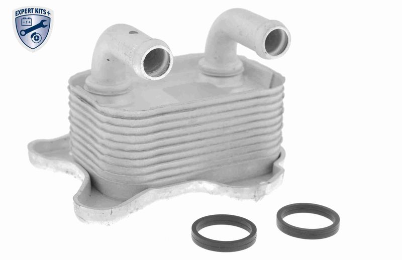 VEMO V40-60-2103 Oil Cooler, engine oil