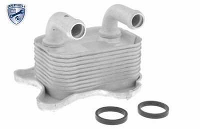 Oil Cooler, engine oil VEMO V40-60-2103