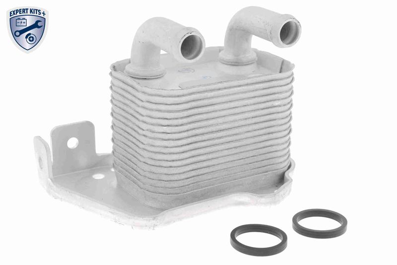 VEMO V40-60-2105 Oil Cooler, engine oil