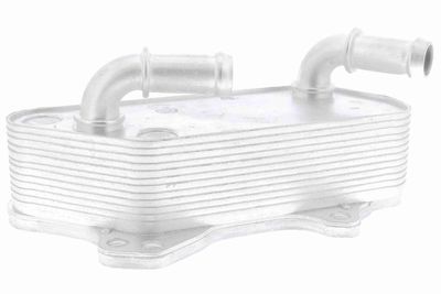 Oil Cooler, engine oil VEMO V40-60-2118