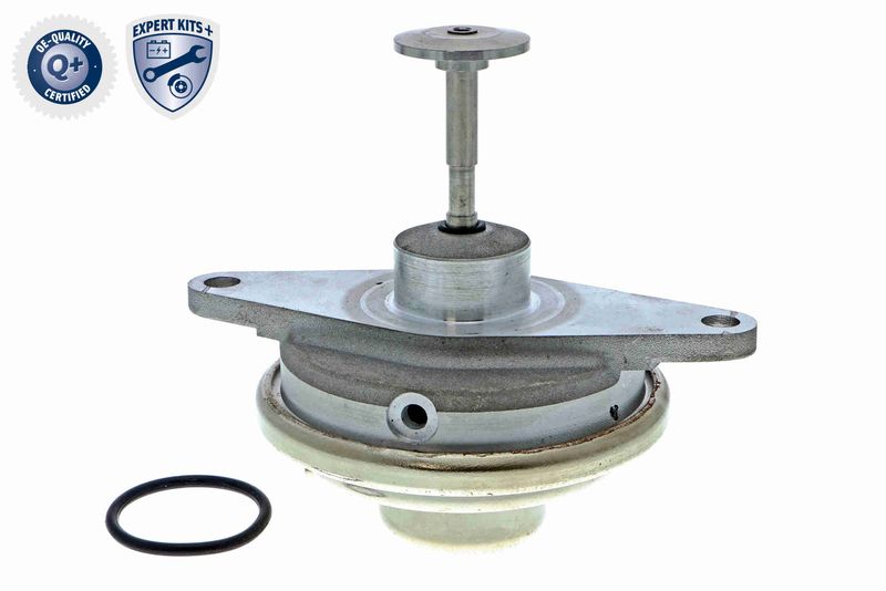 VEMO V40-63-0024-1 EGR Valve