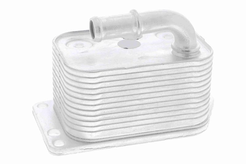VEMO V42-60-0005 Oil Cooler, engine oil