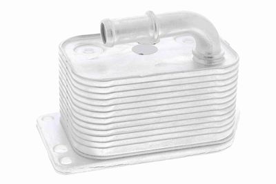 Oil Cooler, engine oil VEMO V42-60-0005