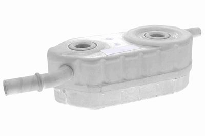 Oil Cooler, engine oil VEMO V42-60-0011