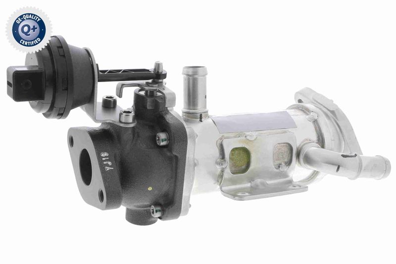 VEMO V42-63-0015 Cooler, exhaust gas recirculation