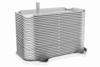 Oil Cooler, engine oil VEMO V45-60-0002