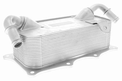 Oil Cooler, engine oil VEMO V45-60-0004