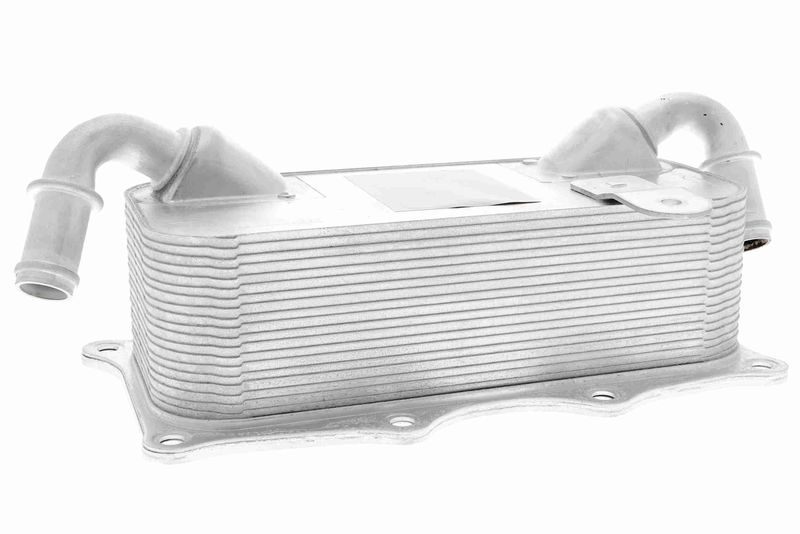 VEMO V45-60-0009 Oil Cooler, engine oil